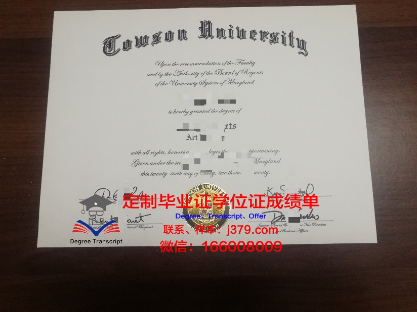 陶森大学校园卡(陶森大学怎么样)