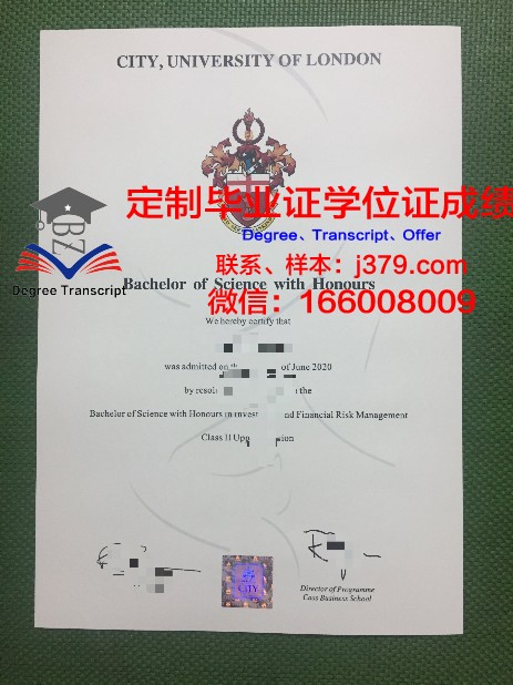 雷昂那多达芬奇高等工程师学院硕士毕业证书样本(达芬奇工程师学院排名)