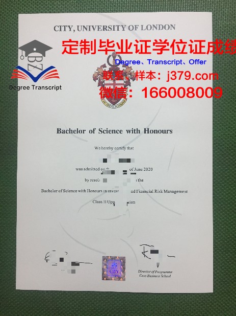 雷恩高等师范学院硕士毕业证：一份荣誉与责任的象征
