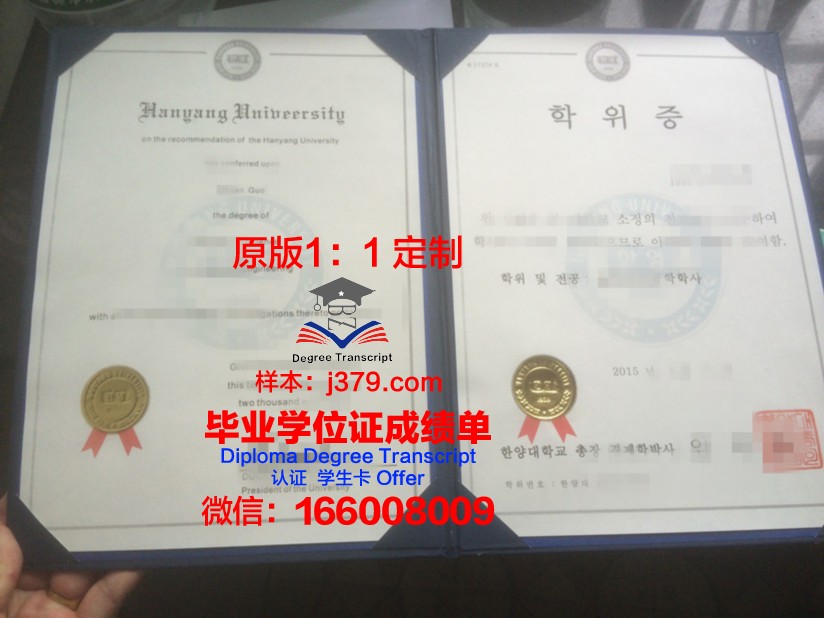 尔大学位证：一张纸的重量与价值