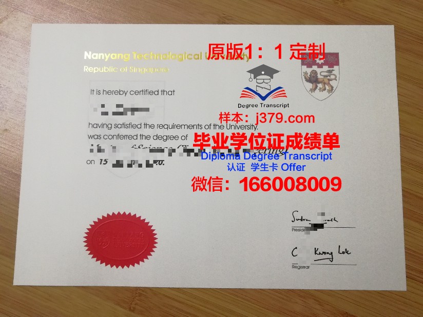 阿雷利亚诺大学本科毕业证:开启未来的金色钥匙