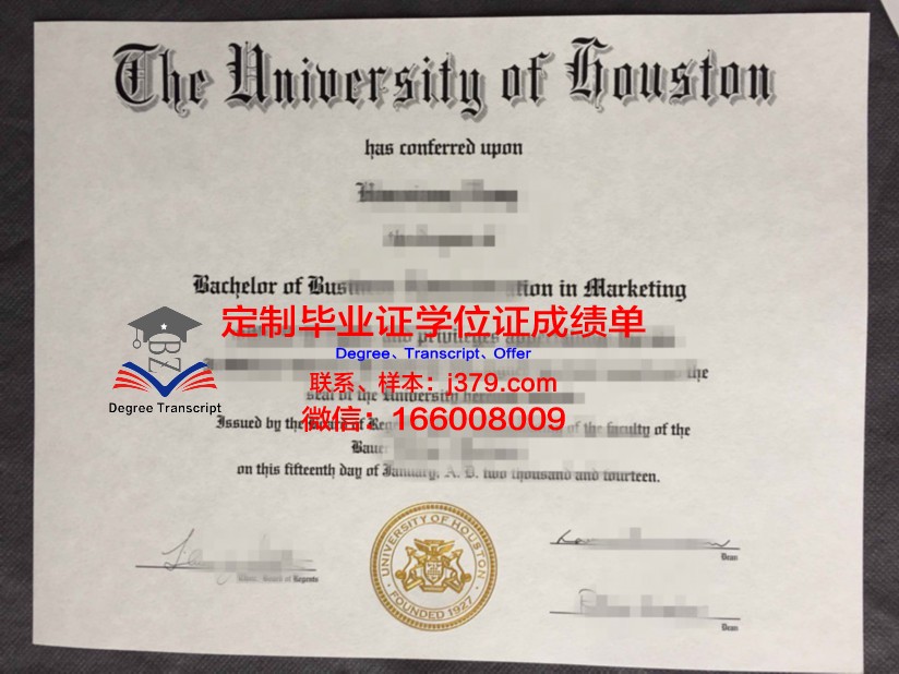 阿菲恩科塔特佩大学学生卡