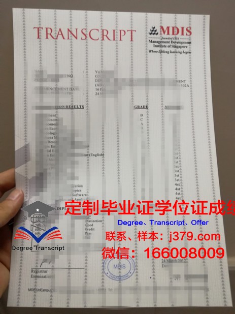 霍林斯大学学位成绩单定制:规范与风险并存