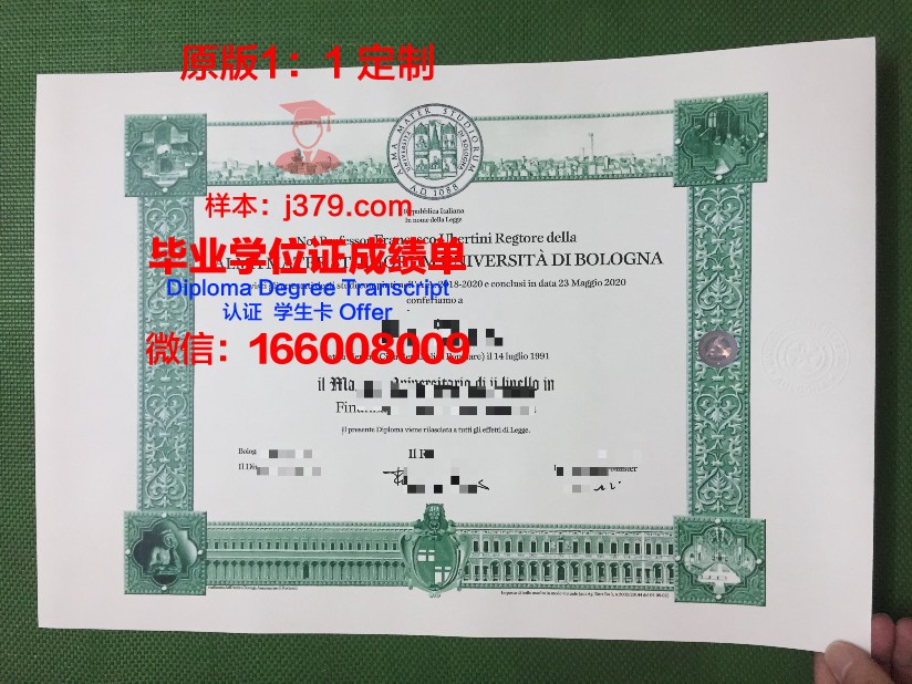 尼亚大本科毕业证：跨越洲际的学术荣耀