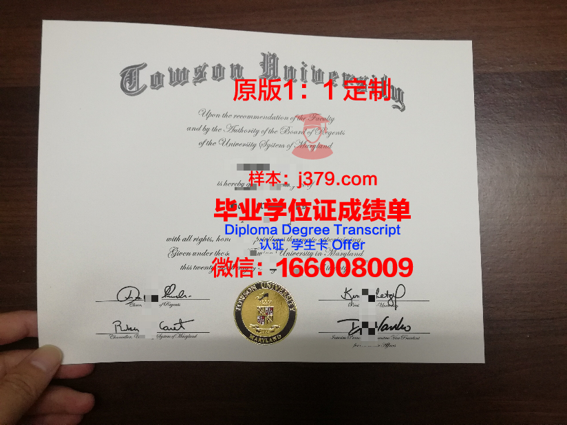 陶森大学硕士毕业证：一份跨越时空的荣誉证书