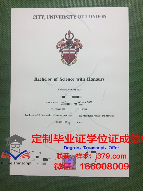 雪平毕业证成绩单：记录青春的荣光与成长