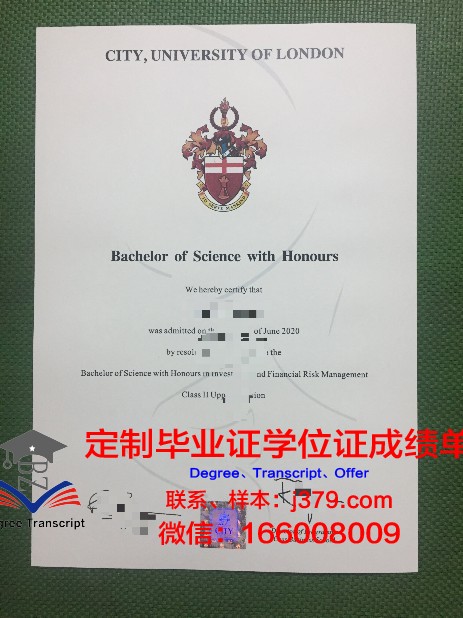 雅西国立艺术大学博士毕业证(雅西国立艺术大学博士毕业证样本)