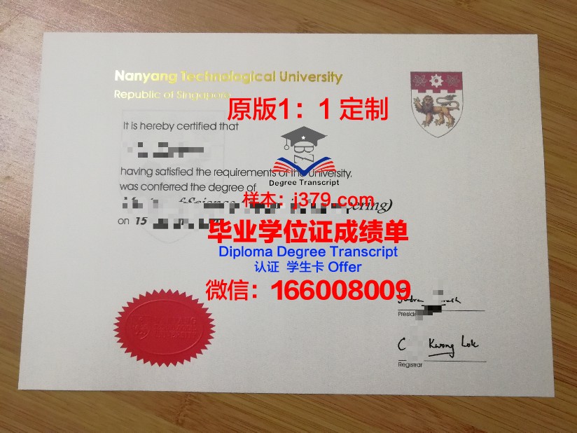 雅西格里戈里·波帕医药大学本科毕业证