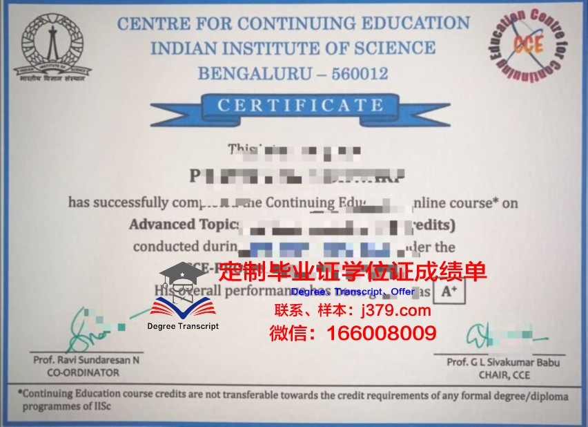 雷恩国立应用科学学院毕业证电子版(雷恩研究生院)