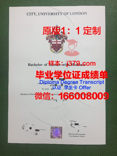 尼斯大学毕业证样本(尼斯大学毕业证样本电子版)