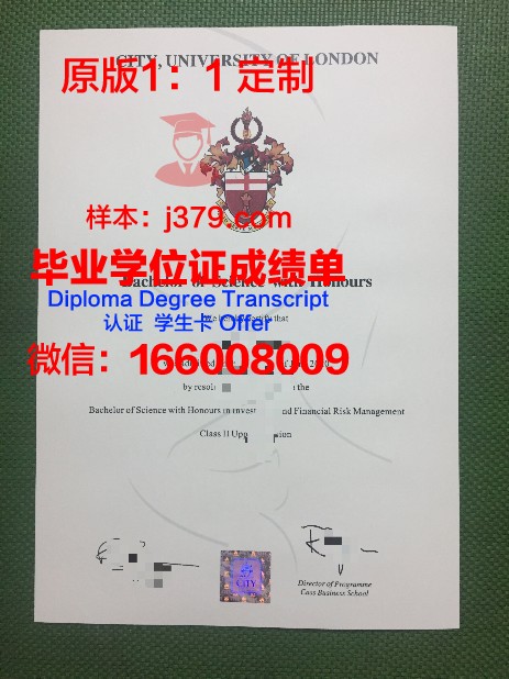 雷大硕士毕业证：一份沉甸甸的荣誉证书