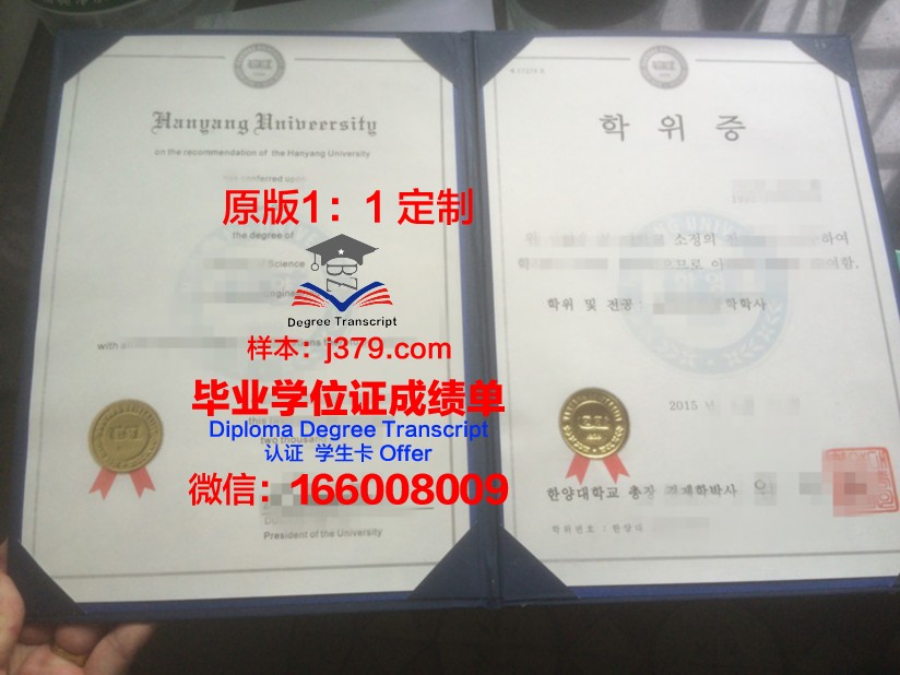 山大硕士学位证图片高清:展现学术成就的荣耀象征