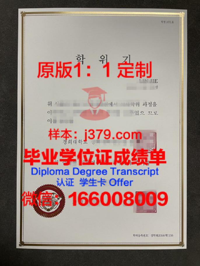 萨马拉私有化与企业高等学院本科毕业证:教育改革的新篇章