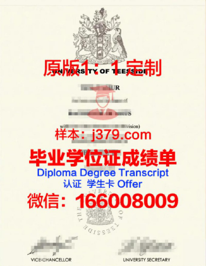 蒂赛德大学毕业证定制：传承与创新的艺术结晶