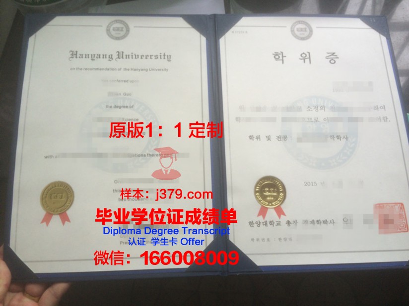 山口大学位证：开启人生新篇章的钥匙