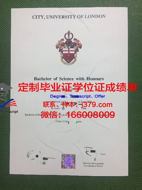 山景学院本科毕业证(山科大毕业证书)