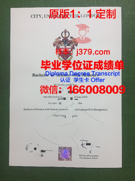 雅西国立艺术大学毕业证外壳(西雅图大学毕业证)