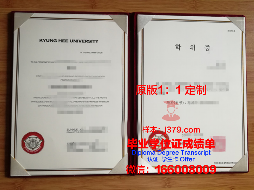 阿菲恩科塔特佩大学毕业证书模板