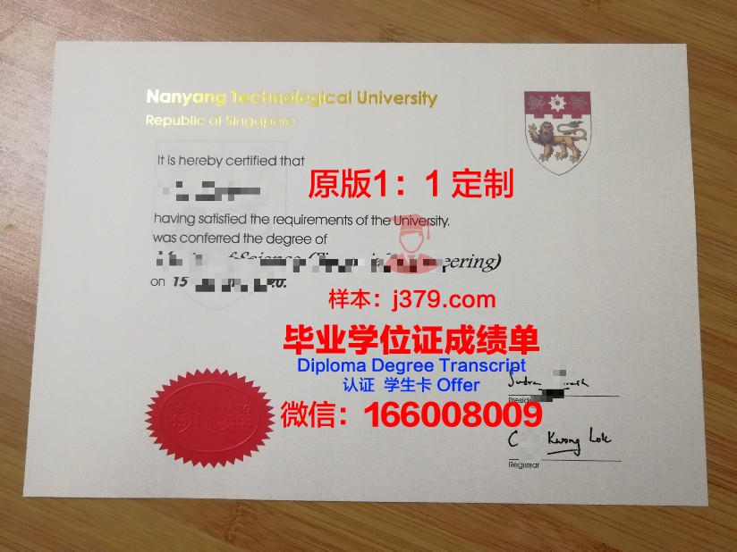 尼皮辛大学毕业证：开启未来的钥匙