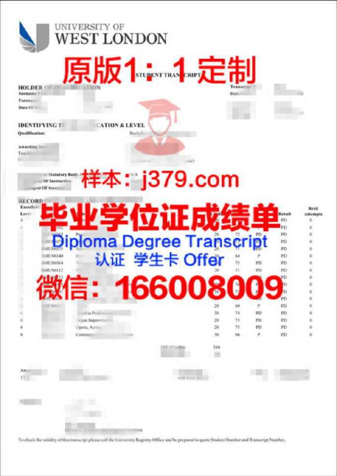 萨马拉国立师范大学成绩单：一份见证成长与成就的证书