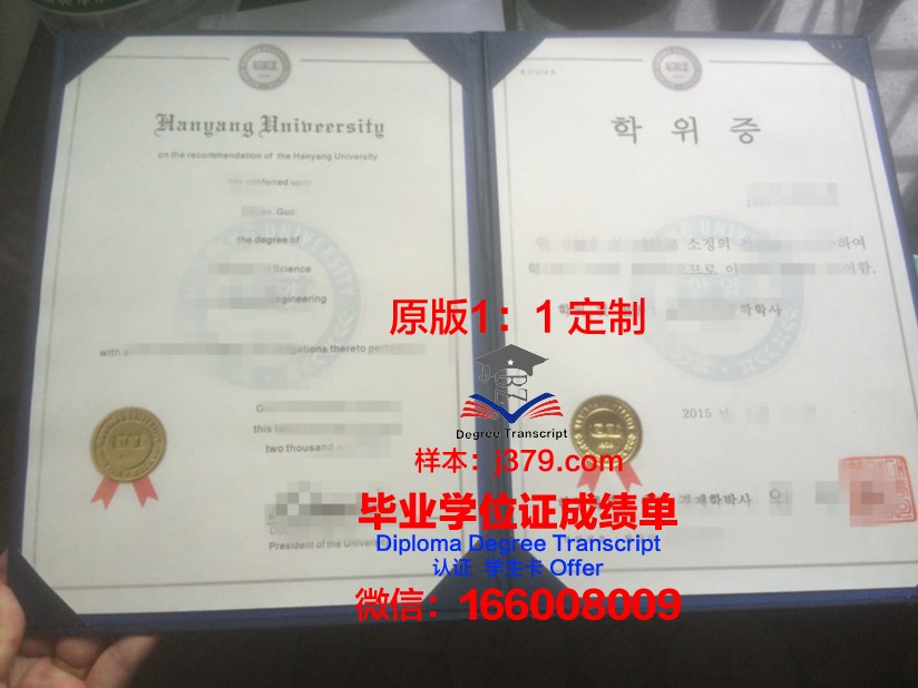 陶里亚蒂国立大学学位证成绩单：一份承载荣誉与梦想的证明