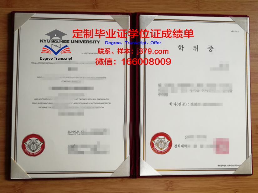 雷昂那多达芬奇高等工程师学院毕业证书(雷奥纳多达芬奇)