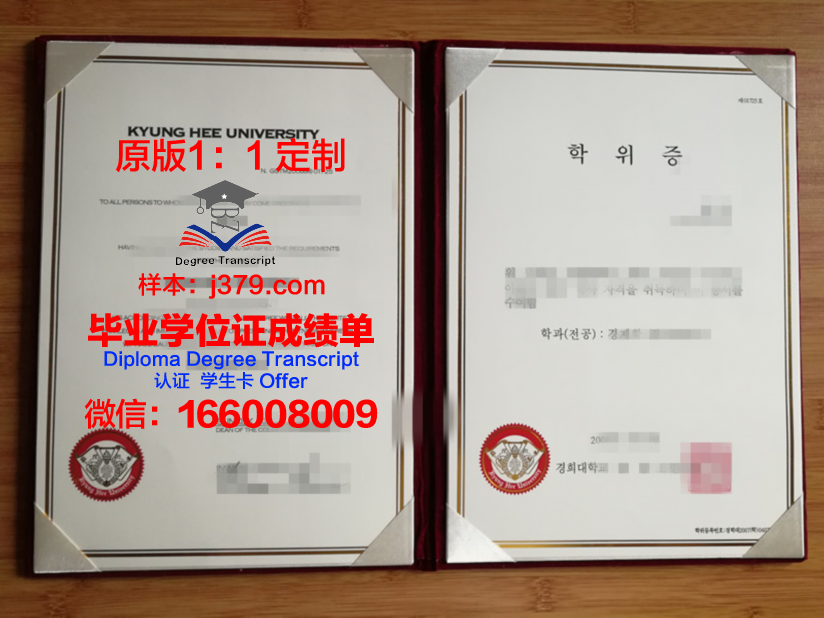 阿雷利亚诺大学博士毕业证书
