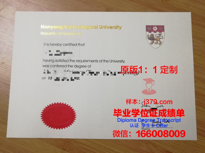 陶里亚蒂国立大学毕业证:一份跨越国界的荣誉证书