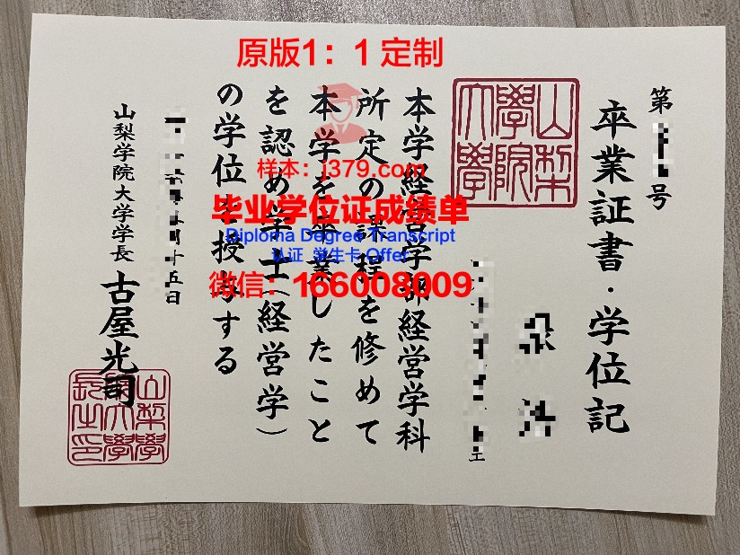 山梨大学毕业证是什么样子(山师历山学院毕业证)