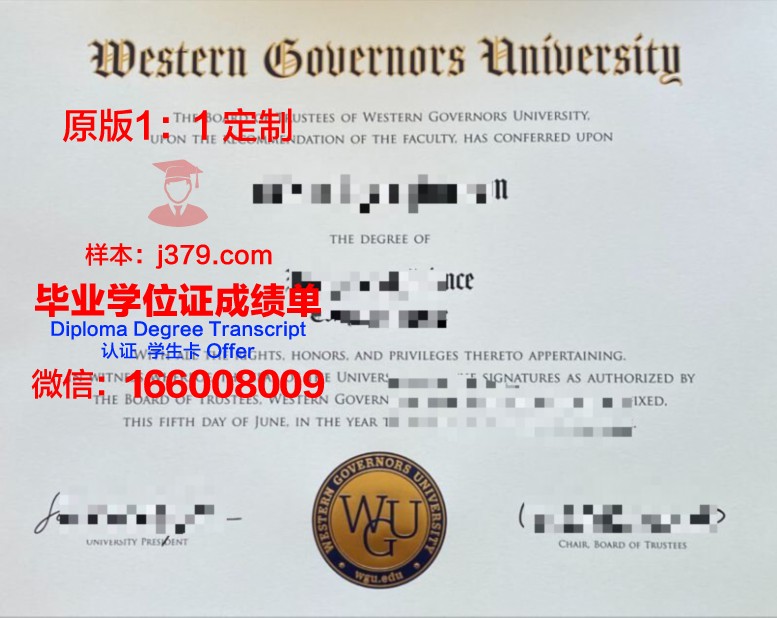 阿菲恩科塔特佩大学学生卡