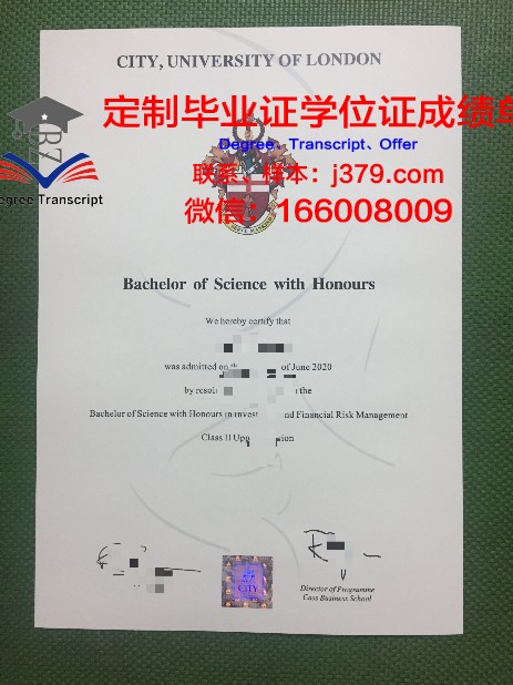 山东工商学院本科毕业证 Shandong Technology and Business University diploma