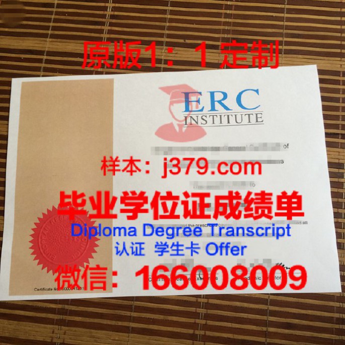 萨马拉经济学院成绩单(萨马拉国立经济学院)
