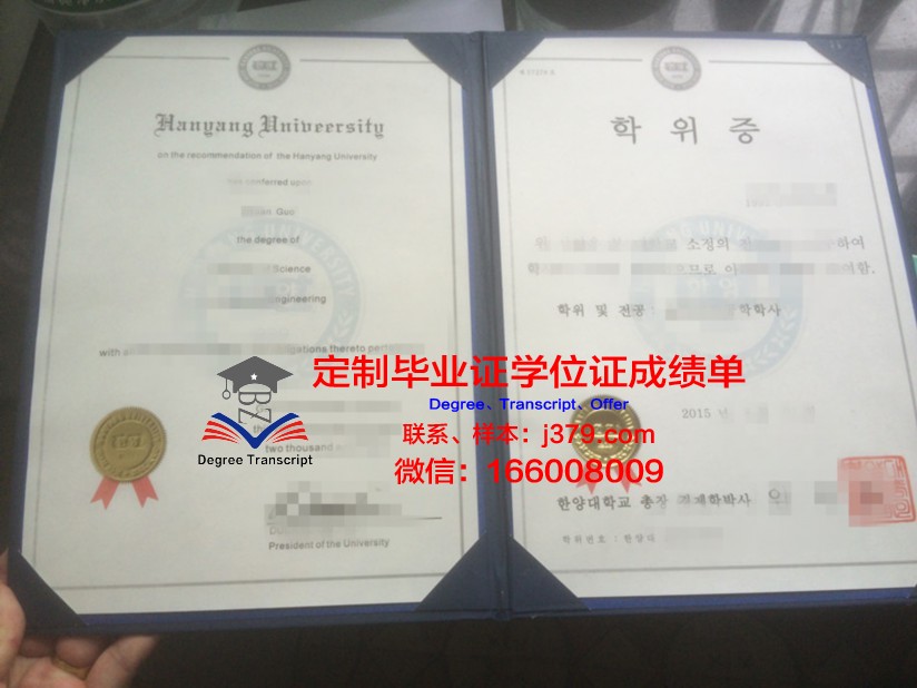 雅罗斯拉夫尔国立大学学位证成绩单：一份学术荣耀的见证