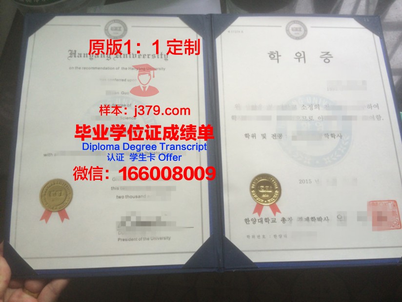 雅西国立艺术大学本科学位证:开启艺术生涯的 golden key