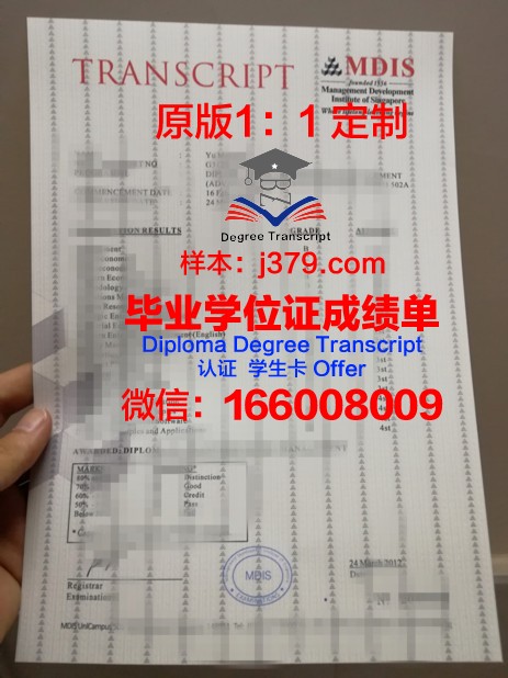 阿雷利亚诺大学成绩单：一份跨国教育的见证
