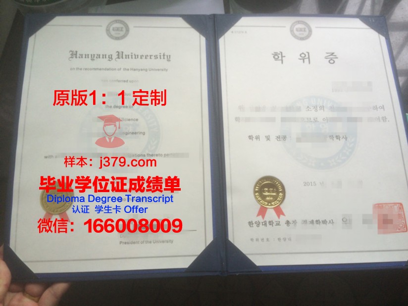 尼斯大学综合理工学院学位证(尼斯大学dba)