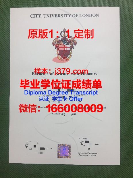 小奥硕士毕业证：一张证书背后的故事