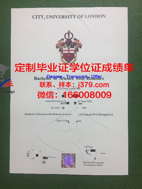 山景城学院毕业证认证成绩单Diploma