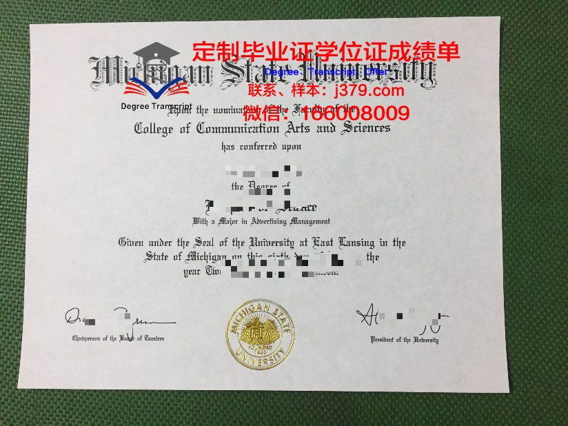 密歇根州立大学研究生毕业证书(密歇根州立大学毕业回国就业)