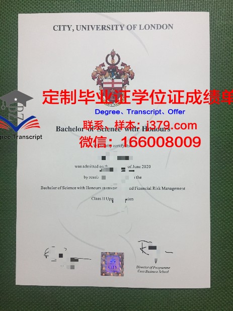 尼斯大学综合理工学院本科毕业证：开启国际化教育新篇章