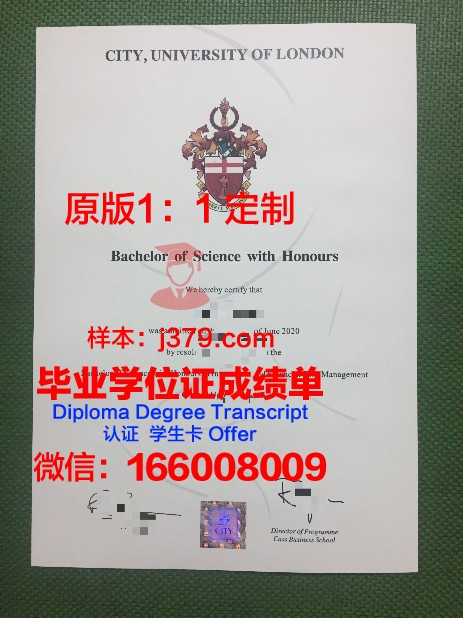 雷恩第二大学硕士毕业证：跨越国度的学术荣耀