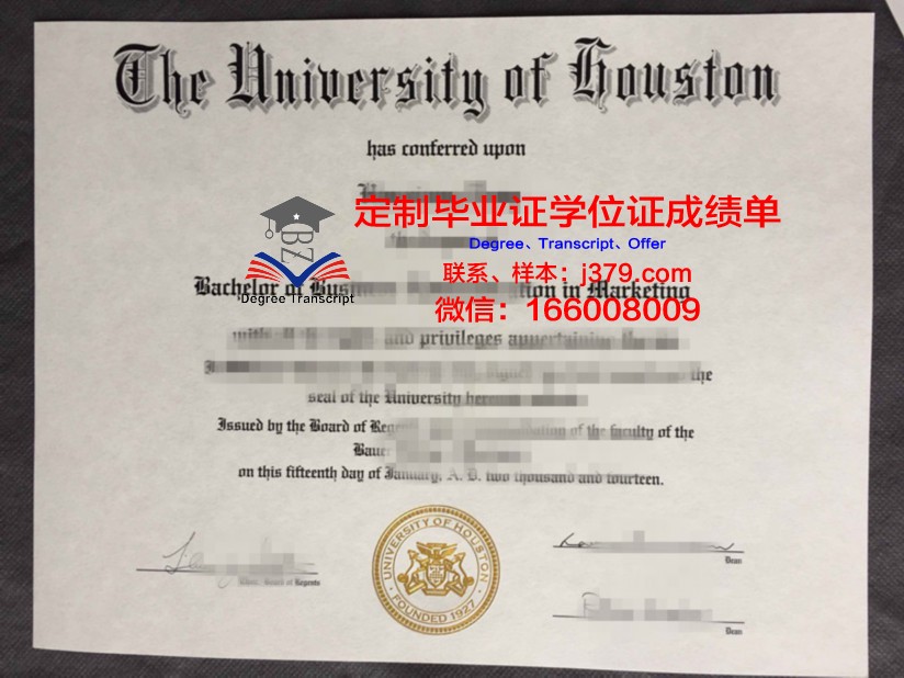阿菲恩科塔特佩大学学历证书