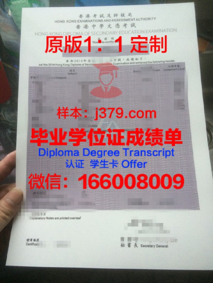 蒂尔堡大学毕业文凭