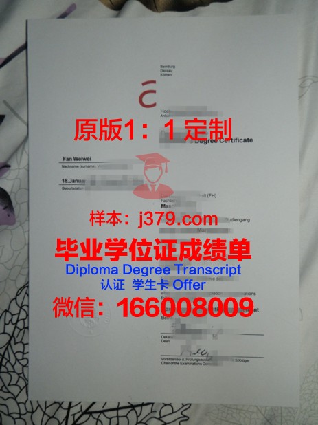 雷根斯堡应用技术大学毕业证是什么模样(雷根斯堡应用技术大学在应用技术大学的排名)