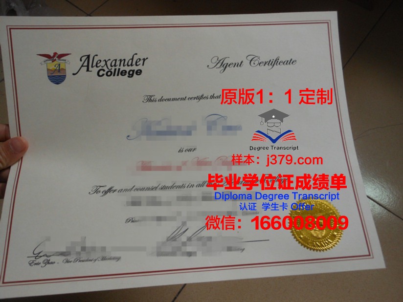 山大威海毕业证书与山大一样吗(山大与山大威海毕业证编号一样吗)