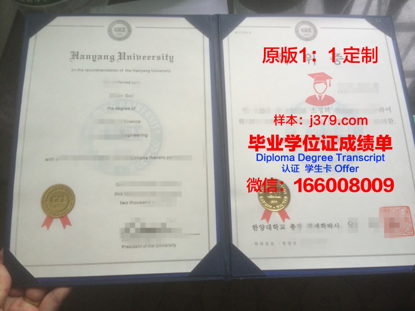 阿菲恩科塔特佩大学学位证书