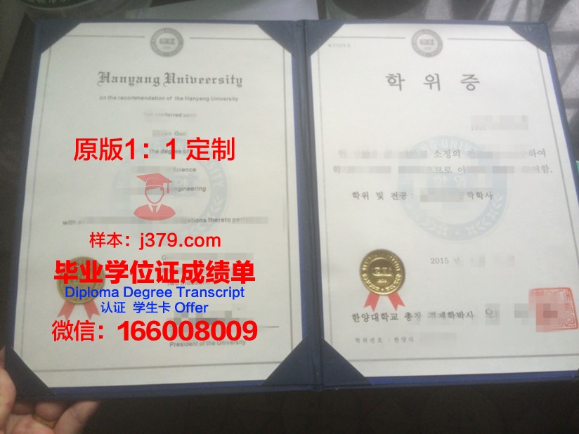 尚卡工程设计与艺术学院本科学位证：开启职业生涯的金钥匙