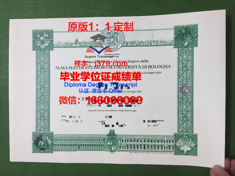 尼亚大毕业证：一张承载梦想与奋斗的证书