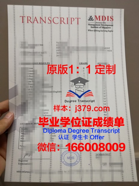 尔大成绩单：一份令人瞩目的教育奇迹
