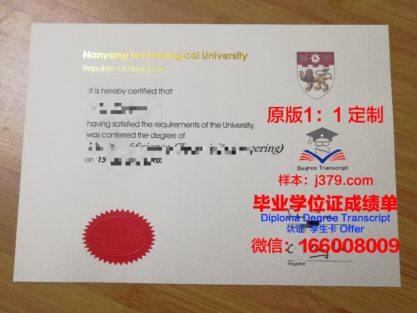 尼尔森航空学院博士毕业证：开启航空领域新篇章的通行证